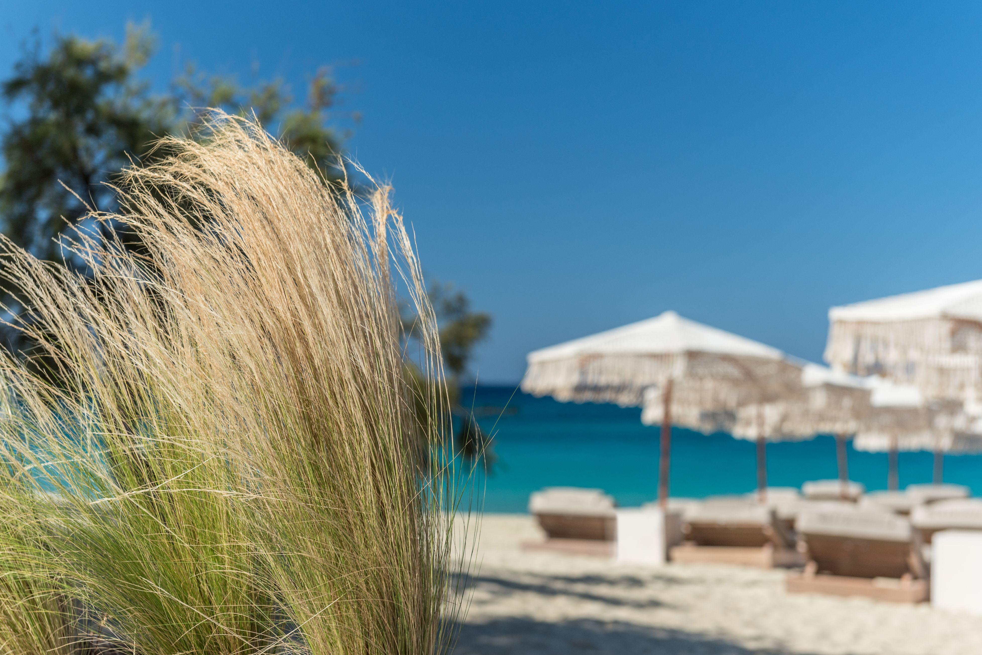 Virtu Hotel Agios Prokopios (Naxos)